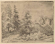 Man between Two Fir Trees