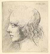 Head of Young Man