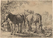 Three Horses in a Field