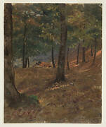 Woodland Scene