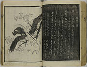 Five kyoka books bound together: part 1, Edo meibutsu hyakudai kyōka-shū; part 2, Kyōka Yoshiwaragata shiki saiken; part 3, Kyōka jittetsu shū; part 4, (Fukagawa) Hitomaro jinja hōnō gakumen kyōka shū; part 5, Kyōka sanjū-rokkasen