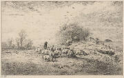 The Truffle Ground, Herd of Pigs (La Truffière, Troupeau de Porcs)