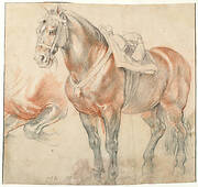 Saddled Horse, c. 1615-1618